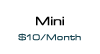 ICG Link, inc. Mini Hosting Package for $10 a month